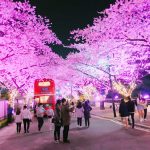 ☆Korean Column (vol.3/金英美先生)☆