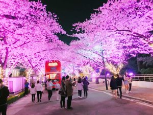イーワールド