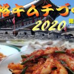 ☆本格キムチづくりのお知らせ☆